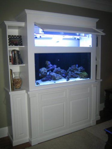 Fish Tank Stand Designs | Stands : Bookshelf Aquarium Stand & Canopy Plans Aquarium Hood, Fish Tank Cabinets, Fish Tank Wall, Aquarium Cabinet, Fish Aquarium Decorations, Aquarium Stands, Fish Stand, Custom Aquarium, Wall Aquarium