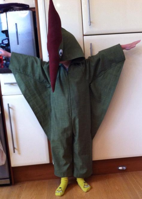 Pterodactyl Costume, Cape Diy, Diy Cape, Dino Costume, Costumes 2024, Easy Costume, Dinosaur Costume, Easy Costumes, Costume Diy