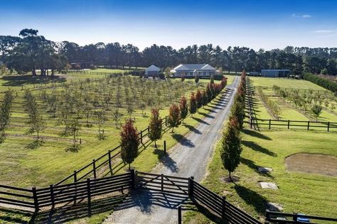 Sold 2 Wonderland Avenue, Tuerong VIC 3915 on 16 Jun 2018 - 2014377097 | Domain Harkaway Homes, Sliding Gate Design, Heavenly Christmas, Driveway Entrance Landscaping, Farm Entrance, Gate Wall Design, Tree Lined Driveway, Driveway Entrance, Farm Gate