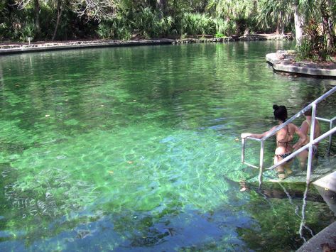 Authentic Florida: 15 Florida springs for a summer cool down Wekiva Springs Florida, Apopka Florida, Blue Springs State Park, Rainbow River, Quotes Nature, Florida Adventures, Places Worth Visiting, Florida State Parks, Florida Springs