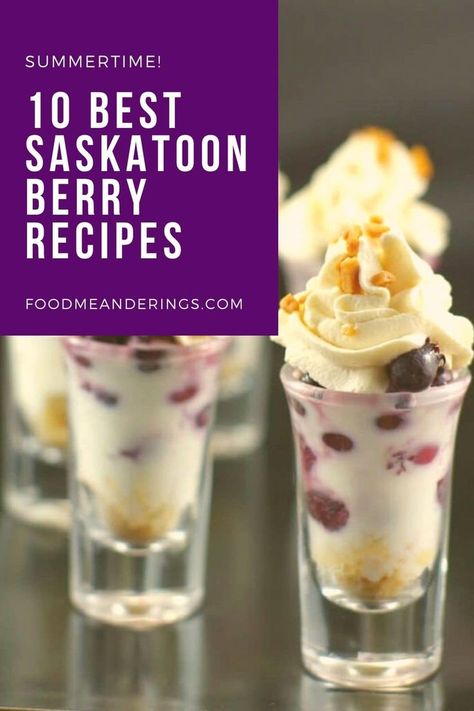 I have rounded up the 10 best Saskatoon Berry Recipes for you to make this summer! Everything from pie, to cheesecake, scones, oatmeal cookies, galette, dessert shots, clafoutis, saskatoon berry crumble, to saskatoon berry BBQ sauce is included! #saskatoonberries #saskatoonberry #pie #fruit #berries #saskatoon #clafoutis #cheesecake #dessertshooters #scones #Canadian #roundup #summerrecipes Saskatoon Crumble Recipe, Saskatoon Berry Recipes, Saskatoon Recipes, Saskatoon Berry Recipe, Saskatoon Berry Pie, Berry Pie Filling, Canadian Cuisine, Saskatoon Berry, Dessert Shots