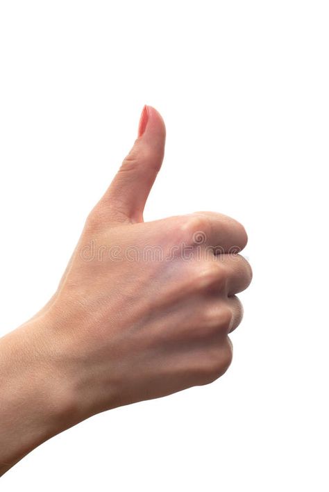 Thumbs Up Hand Reference, Thumbs Up Pose Reference, Thumbs Up Drawing Reference, Thumbs Up Reference, Thumbs Up Pose, Thumbs Up Drawing, Hand References, Picture References, Thumbs Up Sign