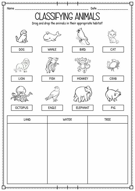 English Lessons Classifying Activities For Preschool, Animal Kingdom Preschool Activities, 2nd Grade Worksheets Free Printables Activities, Animals Sorting Activities, 2nd Grade Worksheets Free Printables, Evs Worksheets For Grade 2 Animals, Animals Home Worksheet, Types Of Animals Worksheet, Uses Of Animals Worksheet