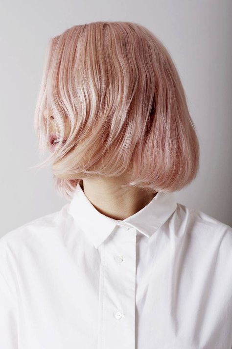 Pastel ash pink Pink Short Hair, Gold Hair Colors, Hair Color Rose Gold, Michelle Williams, Rose Gold Hair, 짧은 머리, Pastel Hair, Spring Hairstyles, Hair Envy