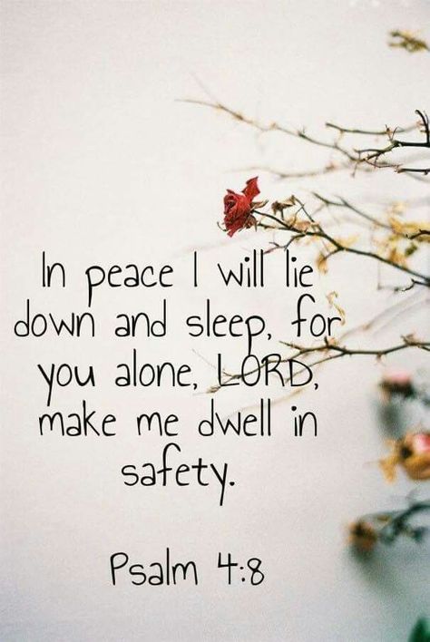 Psalm 4:8 Psalm 4 8, Lisa Bevere, Psalm 4, Positive Sayings, Inner Peace Quotes, Healing Scriptures, Prayer Scriptures, A Thought, Bible Verses Quotes Inspirational