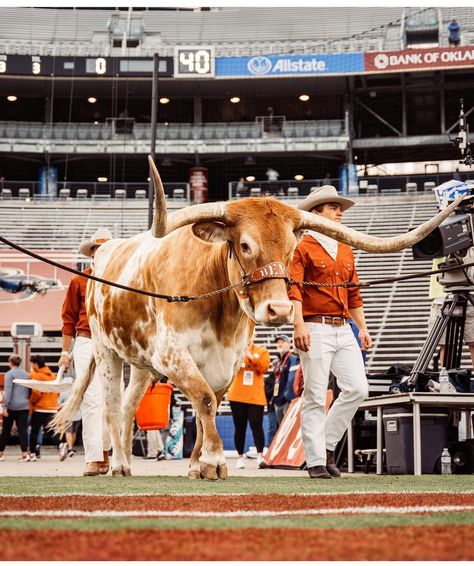 Red River Rivalry, Big Guy, Red River, College Sports, Pull Ups, College Football, Austin, Football, Sports