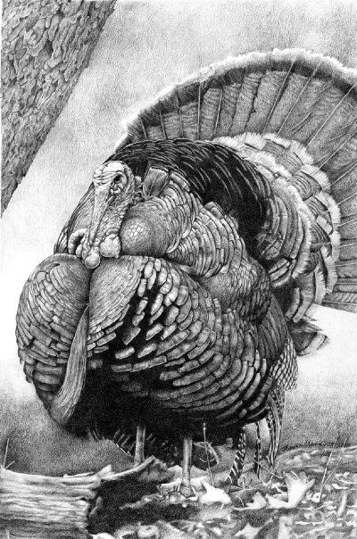 Realistic Hunting Tattoo, Wild Turkey Drawing, Wild Turkey Tattoo, Turkey Tattoos, Hunting Drawings, Turkey Drawing, Bald Eagle Art, Wildlife Tattoo, Hunting Decal