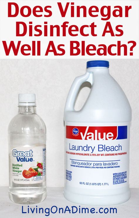 Does Vinegar Disinfect As Well As Bleach? And How to use bleach Living On A Dime, Clean Baking Pans, Cleaner Recipes, Vinegar Cleaning, Homemade Cleaning Products, Distilled White Vinegar, Mold Remover, Cleaning Recipes, Cleaners Homemade