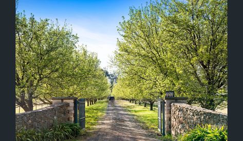 Front Entry Gate, Barn Landscaping, House Front Gate, Entrance Landscaping, Entry Gate, Tree Lined Driveway, Industrial Home Design, Front Gate Design, Front Gate