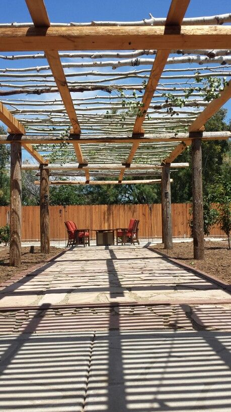 Utility  pole pergola finished with aspen trees Utility Pole Projects, Telephone Pole Landscaping, Telephone Pole Ideas, Cabin Pergola, Backyard Trellis, Diy Pole Barn, Pergola Ideas For Patio, Telephone Pole, Pergola Garden