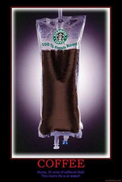 Infusion-stat! Coffee Iv, And So It Begins, Funny Pix, University Life, Finals Week, College Humor, School Humor, Starbucks Coffee, Student Life