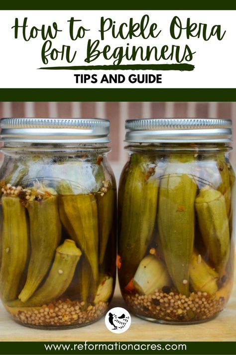 an image of pickled okra on a jar Small Batch Pickled Okra, Pickling Okra Canning, Canned Pickled Okra, Okra Pickles Recipe, How To Can Okra In Jars, Homemade Pickled Okra, Canned Pickled Okra Recipe, Refrigerator Okra Pickles, Pickle Okra Recipe Easy