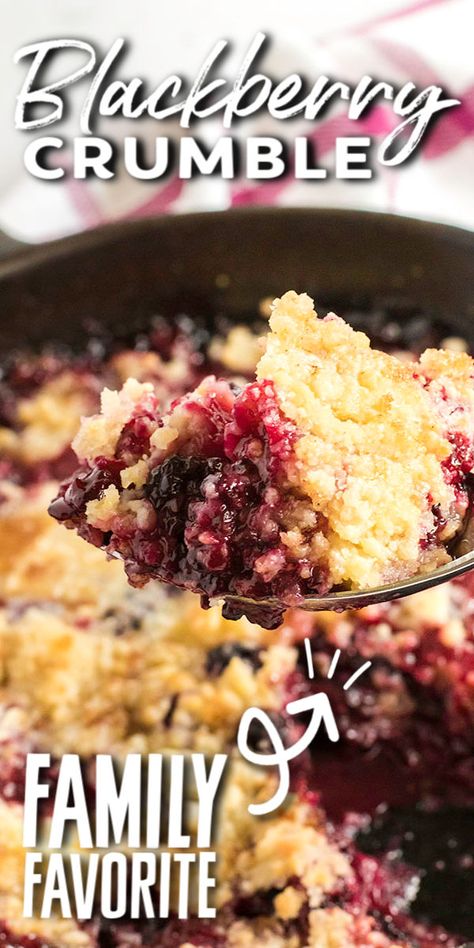 Easy Blackberry Crumble, Blackberry Crumble Recipe, Blackberry Recipe, Blackberry Bread, Crumble Recipes, Persnickety Plates, Blackberry Dessert, Blackberry Cobbler Recipe, Cobbler Recipes Easy