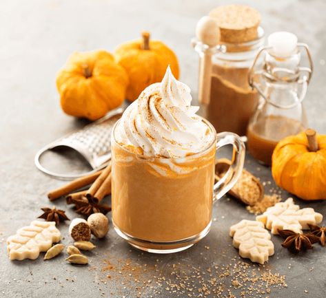 High-Protein Pumpkin Spice Frappe  | The Protein Works Pumpkin Spice Whipped Cream Recipe, Marshmallows Cookies, Homemade Latte, Spiced Whipped Cream, Homemade Pumpkin Spice Latte, Starbucks Pumpkin Spice, Recipes With Whipping Cream, Homemade Apple Cider, Homemade Pumpkin Spice