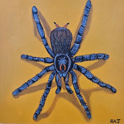 Tarantula painted on 6x6 inch wood panel with acrylic paint. Spider Painting Acrylic, Spider Painting, Wood Spider, Spider Drawing, Spooky Spiders, Spider Art, Halloween Art, Oil Pastel, Wood Paneling