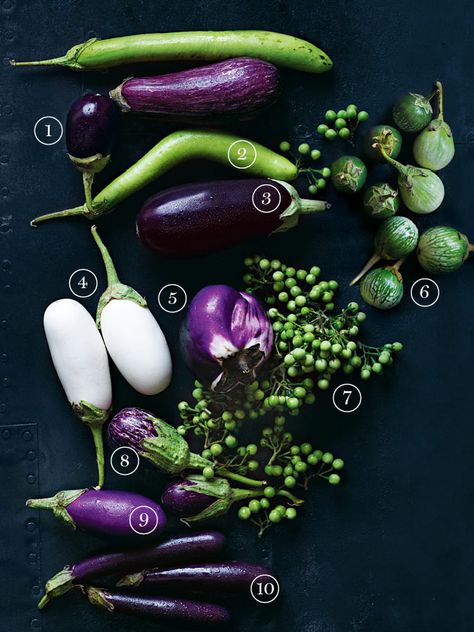 Cooking With... Eggplant | Donna Hay Different Types Of Eggplant, Eggplant Photography, Warming Recipes, Thai Food Photography, Plant Vegetables, Veggie Art, Meat And Vegetables, Silicone Food Covers, Donna Hay