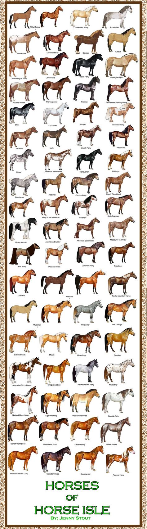 horse breeds with examples | ... come in all shapes and size, Mongolian horses being a smaller breed Mongolian Horses, تصنيف الحيوانات, Cai Arabi, Ahal Teke, Cai Sălbatici, Horse Facts, Rasy Koni, Horse Anatomy, Horse Tips