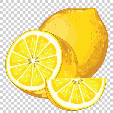 Lemon isolated on transparent Premium Ve... | Premium Vector #Freepik #vector #food #leaf #fruit #health Lemon Images, Lemon Drawing, Fruit Art Drawings, Lemon Set, Lemon Painting, Lemon Art, Lemon Patterns, Fruit Illustration, Fruit Painting