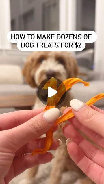 Dog Treat Packaging Ideas Diy, How To Make Dog Treats Easy, Frozen Carrots For Dogs, Puppy Treats Homemade Easy, How To Make Dog Treats, Carrot Dog Treats, Dog Treat Packaging, Dog Tear Stains, Homemade Pet Treats