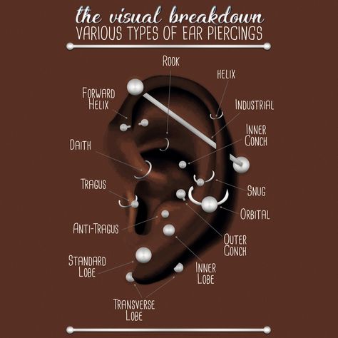 Diagram Of Ear Piercings, Ear Piercing Chart With Names, Ear Piercings Chart Labeled, All Piercings Types Ear, Names Of Ear Piercings Chart, Earring Names Chart, Piercings Ear Chart Names, Piercing Chart Ear Labeled, Piercings With Names