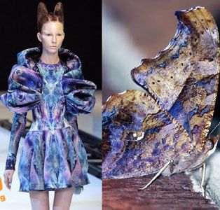 Butterfly: insect inspired fashion 2010 Fashion Trends, Nature Inspired Fashion, Butterfly Fashion, Savage Beauty, Textiles Fashion, Mode Inspiration, Costume Design, Fashion Illustration, Design Projects