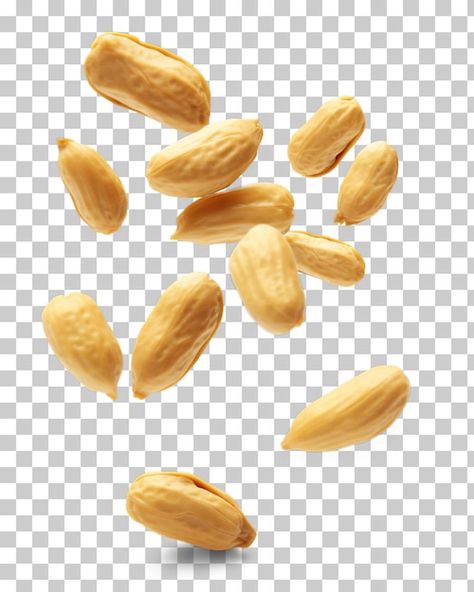 PSD falling peanut isolated on transpare... | Premium Psd #Freepik #psd #cashew-nuts #cashew #nuts #almond Peanut Art, Nuts Design, Classic Mens Haircut, Tufting Ideas, Hiring Poster, Peanut Candy, Ice Cream Design, Creative Advertising Design, Makeup News