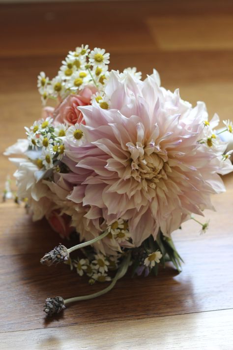 Gorgeous dahlia wedding bouquet Magenta Dahlia, Cafe Au Lait Dahlias, Dahlia Wedding Bouquets, Dahlia Wedding, Friends Season 1, Coral Wedding Flowers, Dahlias Wedding, Dahlia Bouquet, Sunflower Wedding Bouquet