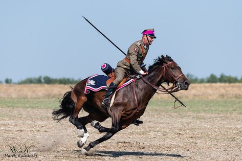 Horse From Behind, Riding A Horse Reference, Riding A Horse, Riding Horse Reference, Horse Poses Reference, Person On Horse Reference, Horse Riding Reference, Horse And Rider, Horse Running