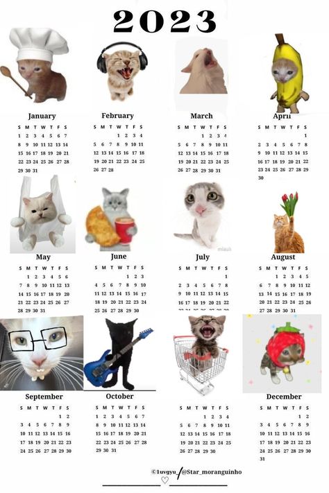 Cats Cat Calendar 2023, Cat Calendar, Calendar 2023, 2024 Calendar, Cute Poster, Art