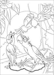 Desenhos do Filme Rio, da arara azul e seus amigos para colorir pintar imprimir! Owl Coloring Pages, Love Coloring Pages, Coloring Art, Drawing Color, Bird Coloring Pages, Coloring Pages For Boys, Colouring Printables, Fall Coloring Pages, Disney Colors