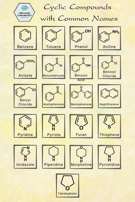 Pin on 30 school Study Organic Chemistry, Organic Chemistry Art, Organic Chemistry Humor, Chemistry Nomenclature, Chemistry Cheat Sheet, Organic Chemistry Cheat Sheet, Chemistry Reactions, Chemistry Drawing, Organic Chemistry Tutor