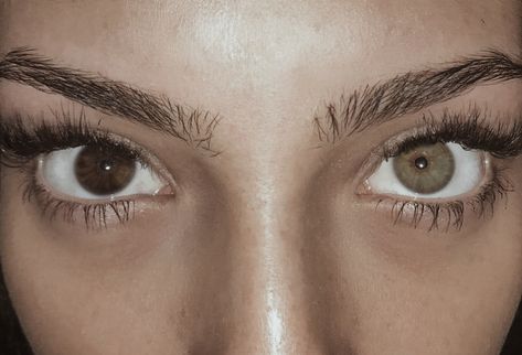 Heterochromia | GoT oc. Hetero Chromatic Eyes, Green And Brown Heterochromia Eyes, Heterochromia Grey And Brown, One Green One Brown Eye Heterochromia, Green And Brown Heterochromia, Green Brown Heterochromia, Heterochromia Aesthetic, Heterochromia Brown And Hazel, Brown Heterochromia Eyes