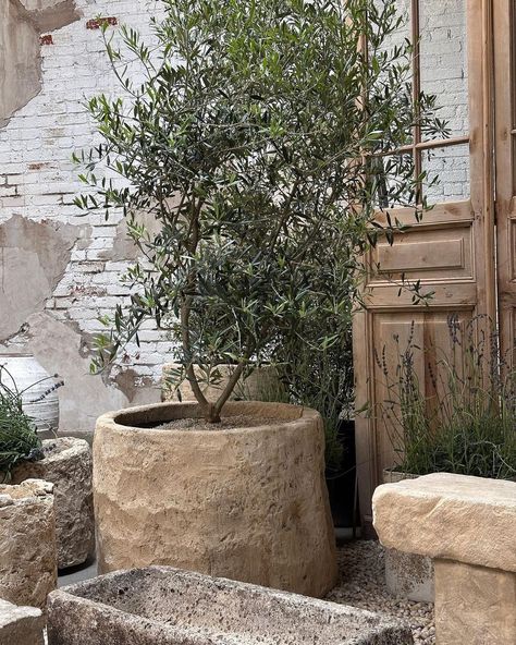 | Need limestone troughs? Come pick your fighter. Round Indonesian limestone planters are back. Antique French limestone in round and… | Instagram Limestone Fountain, Beach House Landscaping, Tree Planters, French Limestone, Mexico House, Trough Planters, Front Landscaping, Cement Pots, Concrete Planters