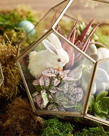 Easter Set The Table Easter Terrarium Ideas, Anthro Diy, Easter Terrarium, Easter Baskets For Kids, Center Peices, Baskets For Kids, Dyed Eggs, Terrarium Centerpiece, Centerpiece Diy