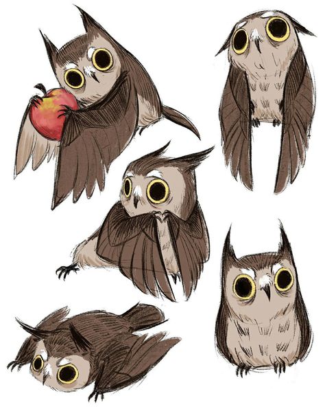 Owl Illustration, Hedge Witch, Owls Drawing, 캐릭터 드로잉, Animal Sketches, Bird Drawings, Creature Concept, Cute Animal Drawings, Move Forward