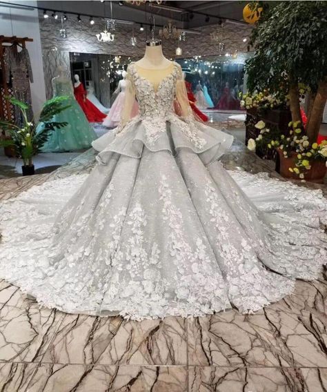 Silver Wedding Dresses, Long Sleeve Quinceanera Dresses, Silver Wedding Dress, Bodice Wedding Dress, Royal Train, Big Wedding Dresses, Wedding Dress Cap Sleeves, Big Dresses, Wedding Dresses Ball Gown