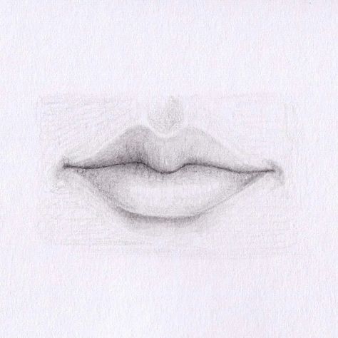 Bow Shaped Lips, Different Lip Shapes, Cupid Bow Lips, Types Of Lips, Bow Lips, Cupids Bow Lips, Mouth Painting, How To Draw Lips, Draw Lips