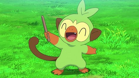 Grookey Pokemon, Pokemon Screenshots, Pokemon Cartoon, Pokemon Rpg, Pokemon Starters, Mythical Pokemon, Watching Anime, First Pokemon, Love Pokemon