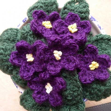 Crochet African Violet, African Violet Crochet Pattern, Crochet African Violet Pattern Free, Crochet African Violets Free Pattern, Crochet Violets Free Pattern, African Violet Pots, Crochet Embellishments, Crochet Cactus, Plant Pattern