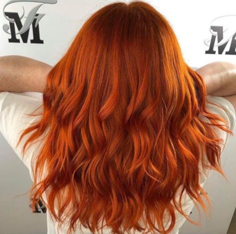 Pumpkin Hair Color, Halloween Haircolor, Hip Hairstyles, Pumpkin Hair, Hair Orange, Dip Dye Hair, Hair Halloween, Hair Color Unique, Bright Hair Colors