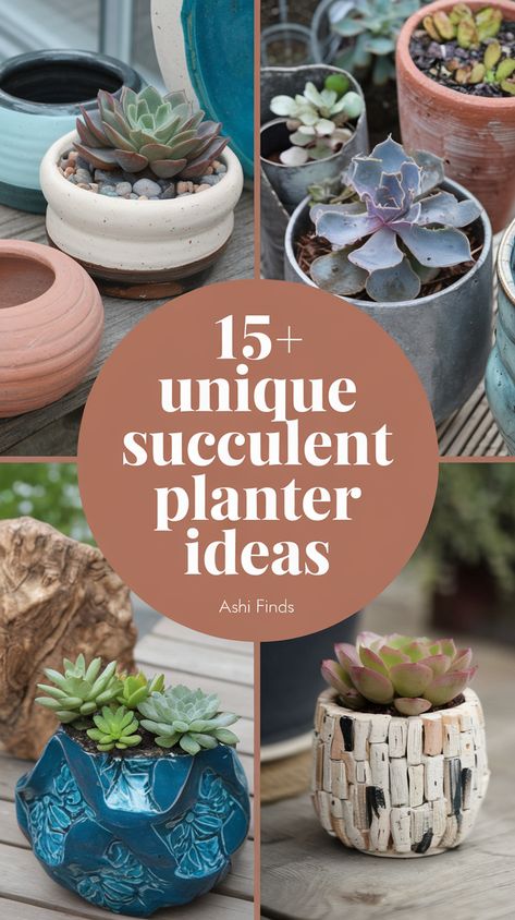 Unique Succulent Planters Suculents Pot Ideas, Outdoor Succulent Planter, Succulent Planter Ideas, Cactus Arrangements, Driftwood Planters, Diy Container, Unusual Planter, Cactus Arrangement, Diy Container Gardening