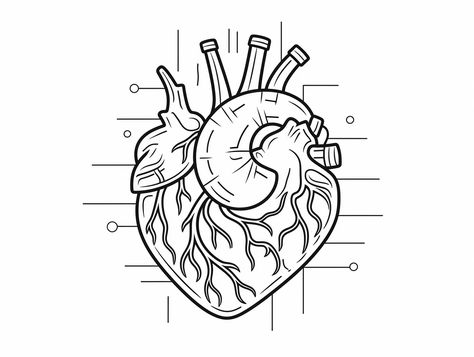 illustration of Anatomical heart drawing Anatomical Heart Drawing, Heart Coloring Page, Realistic Heart, Heart Coloring Pages, Heart Drawing, Relaxing Activities, Anatomical Heart, Human Anatomy, Heart Art