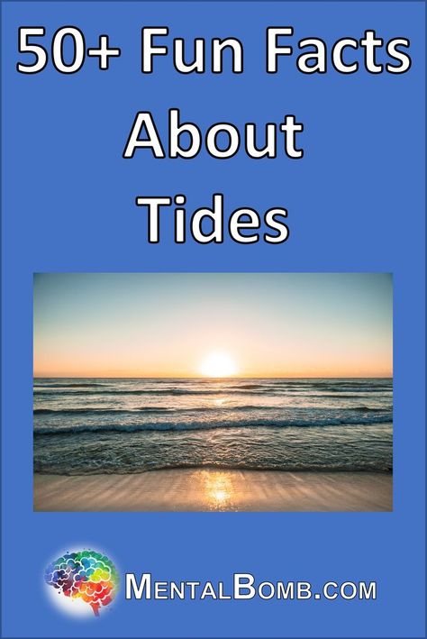 Over 50 fun facts about tides plus fun facts for kids, how they are studied, legends about them, and so much more! #FunFacts Facts About Ocean, Fun Facts For Kids, Facts For Kids, Surprising Facts, Facts About, Over 50, Fun Facts, 50 %, For Kids