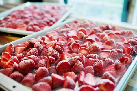 Freeze Strawberries, Freezing Strawberries, Freezing Fruit, Fish Chowder, Smoothie Fruit, Chowder Recipe, Fruit Salsa, Strawberry Salad, Frozen Veggies