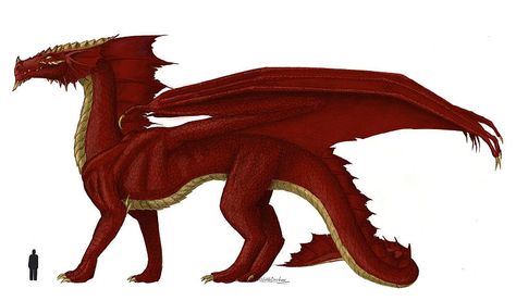 Red dragon size comparison Size Comparison Human, Dragon Size Comparison, Bible Scenes, Chromatic Dragon, What Would Jesus Do, Dragon Armor, Dungeons And Dragons Art, Jesus Stories, Mermaids And Mermen