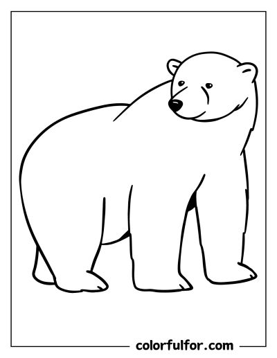 Polar Bear Drawing Easy, Polar Bear Coloring Page, Polar Bear On Ice, Polar Bear Drawing, Baby Polar Bears, English Learning Books, Shark Coloring Pages, Learning Books, Bear Drawing