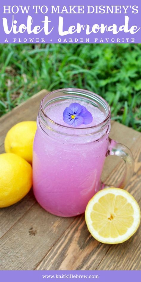 Violet Lemonade | Disney Recipes | Flower and Garden Festival | Disney DIY | Epcot Treats | Disney at Home | Violet Lemonade Recipe | Sugar Free Disney Recipes | How To Make Violet Lemonade | Best of Flower and Garden Festival | Flower and Garden Festival Favorites | That Disney Lifestyle | Kait Around The Kingdom | @kaitkillebrew Disney Copycat Recipes, Violet Lemonade, Disney Inspired Recipes, Disney Dishes, Disney Inspired Food, Monte Cristo Sandwich, Disney Drinks, Disney Lifestyle, Disney Recipes