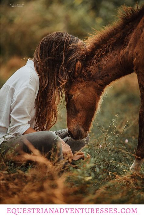 Horse Sanctuary, Horse Adventure, Horse And Human, Horse Rescue, Equestrian Riding, Dream Career, Solo Female Travel, South India, A Horse