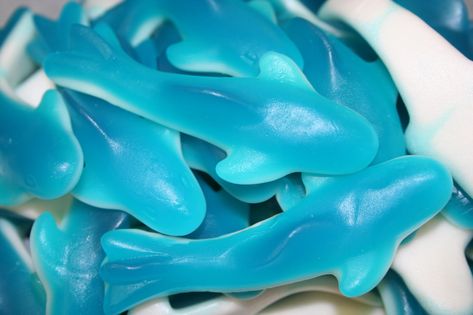 Calder Kerian, Shark Gummies, Shark Recipes, Brooklyn Outfit, Gummy Sharks, White Marshmallows, Blue Food, Blue Shark, Bulk Candy