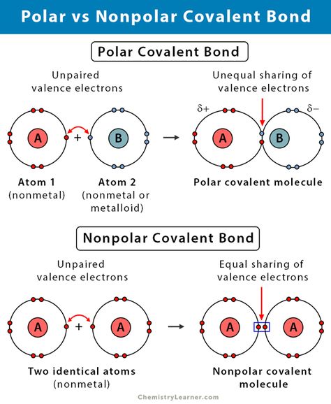 Covalent Bonds, Science Lab Safety, Chemistry Posters, Chemistry Study Guide, Ionic Bonding, Chemistry Education, Covalent Bonding, Chemistry Lessons, Science Notes